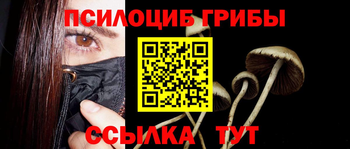 Псилоцибиновые грибы MAGIC MUSHROOMS  Вход с VPN  Чернушка  Галлюциногенные грибы Cubensis 
