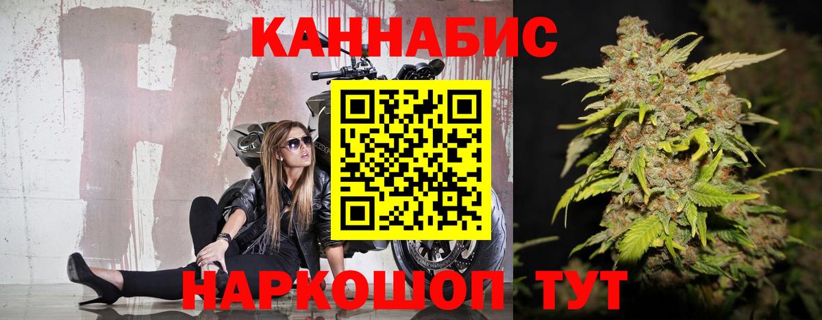 Канабис OG Kush  Конопля гибрид  Чернушка  Вход с VPN 